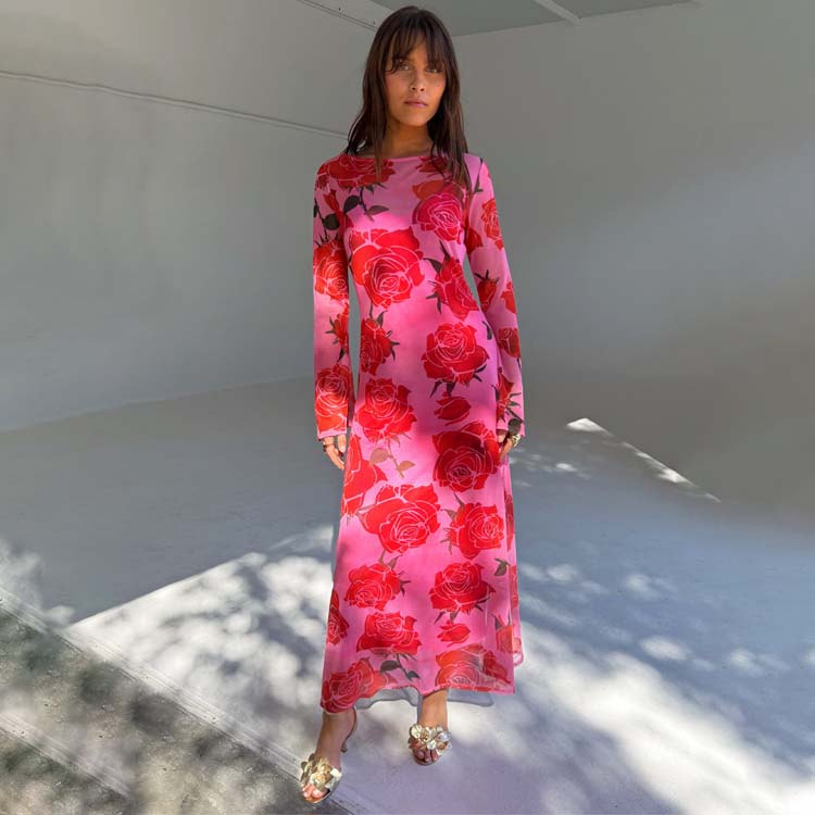Rosa Aria Rose Print Sheer Dress with Slip - Pink & Red